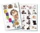 Teddies Pexeso Mačky spoločenská hra 32 obrázkových dvojíc